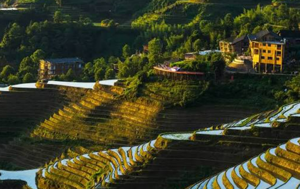 Longji Rice Terraces in guilin
